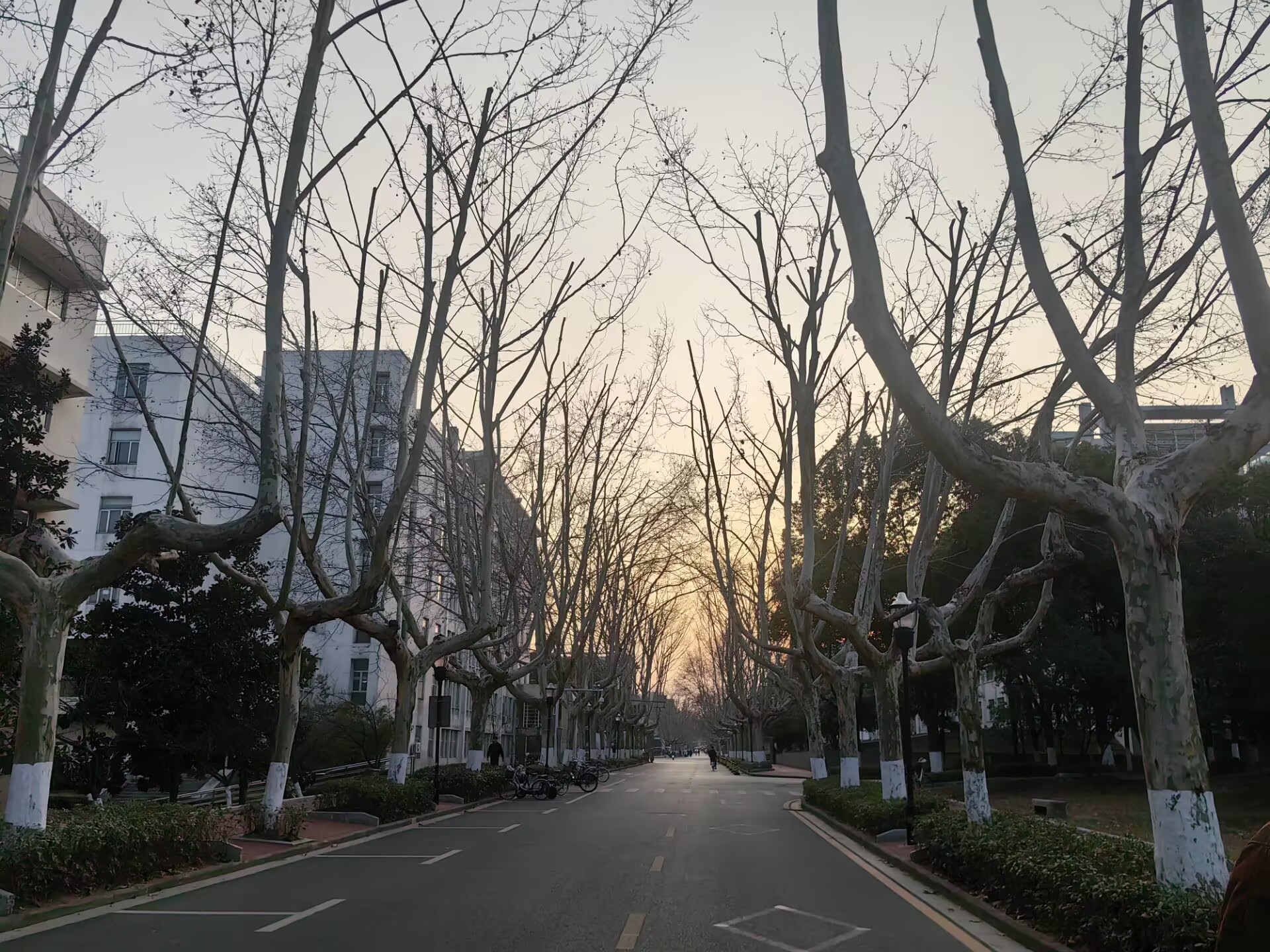 简单孔的衍射图样