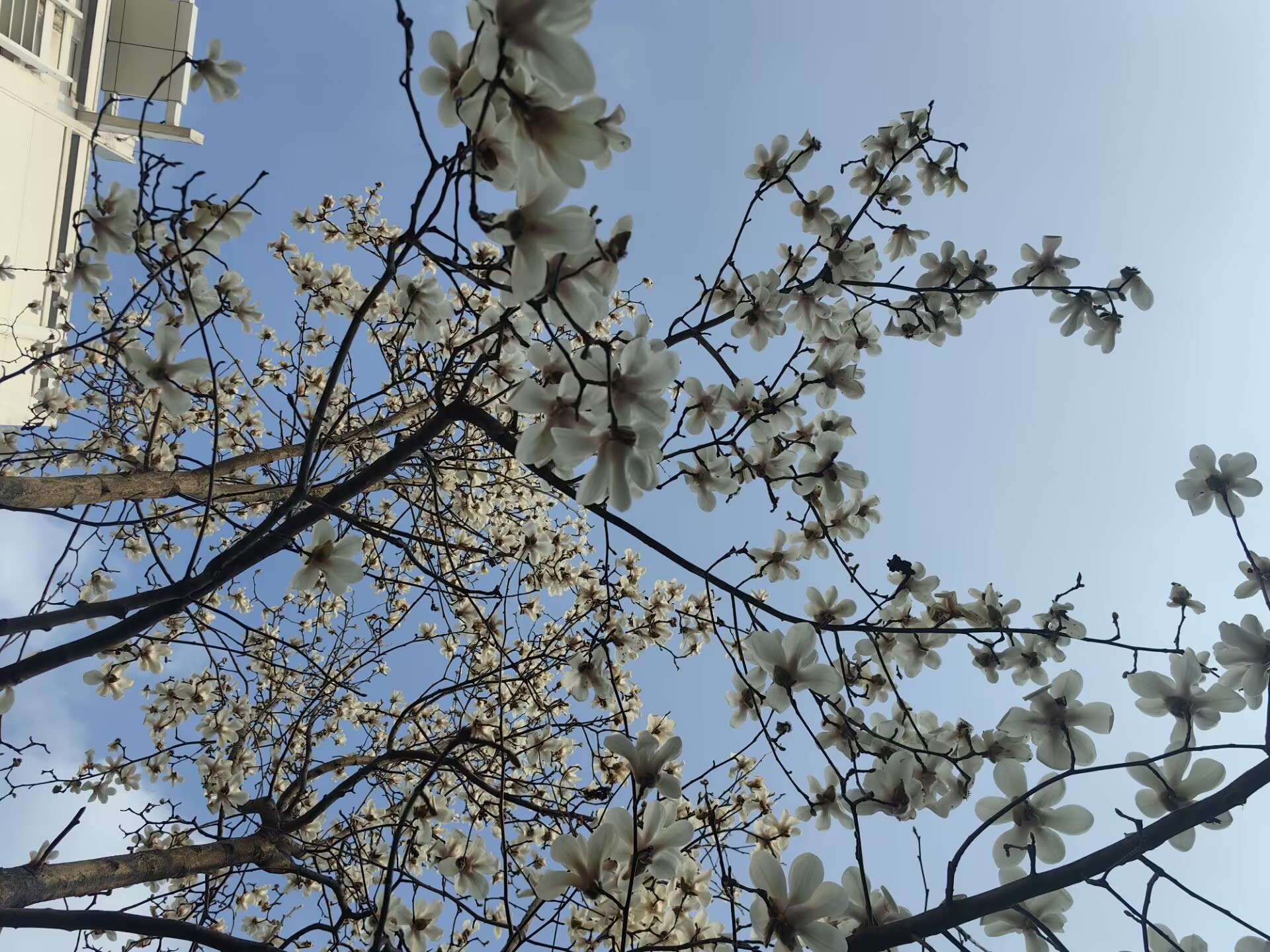 抑制高阶衍射的二维六角形孔光栅