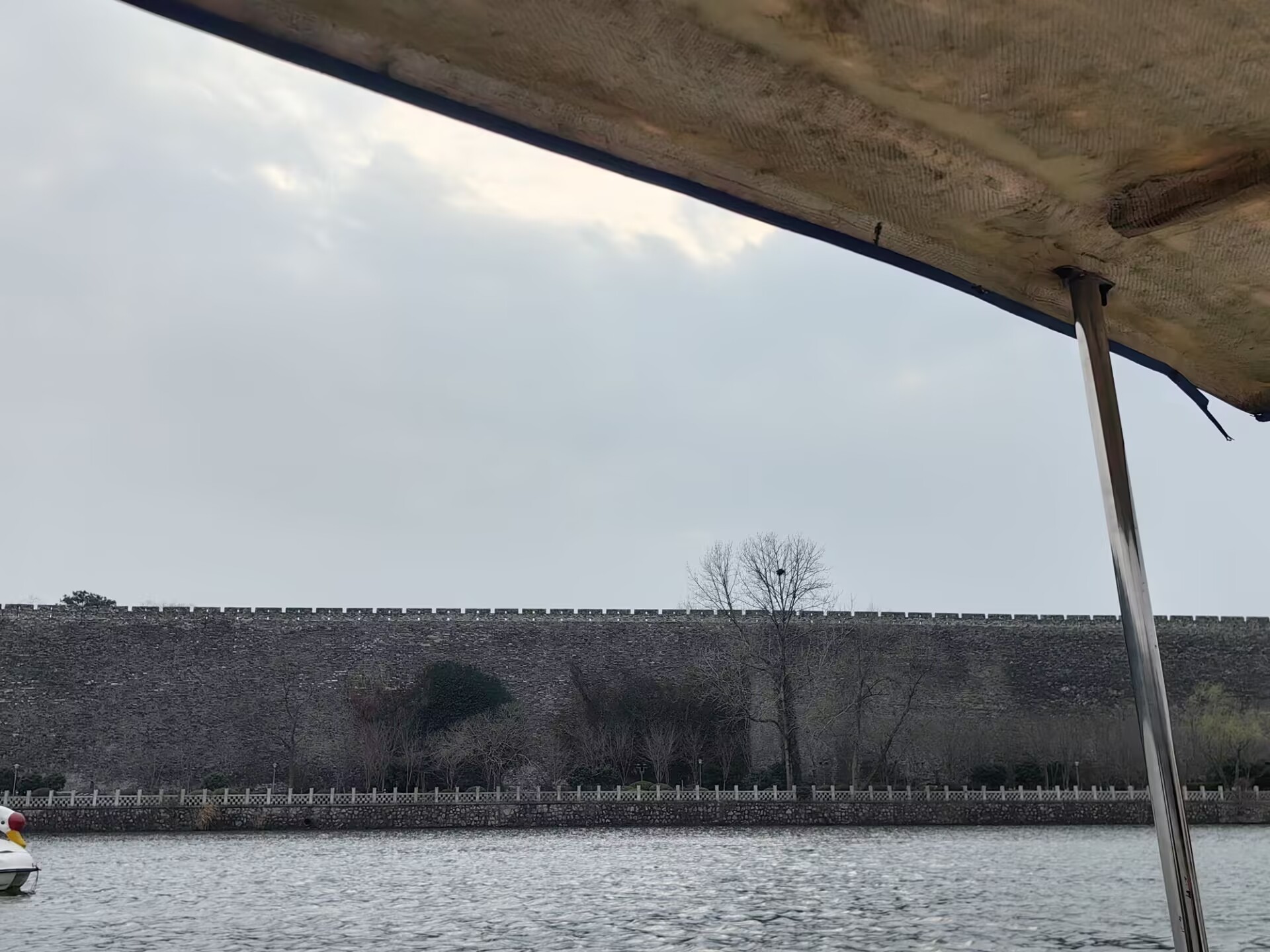 使用消逝波辅助暗场显微镜对亚波长SiO2纳米粒子阵列进行无标记成像