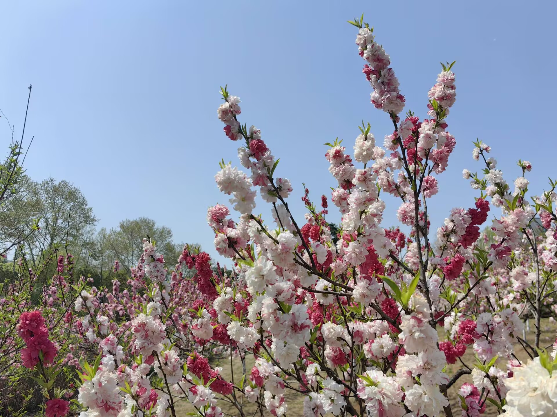 光学超分辨成像中的倏逝波频移