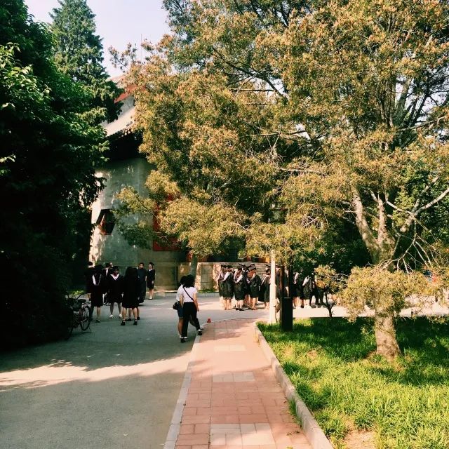 随感（三）
