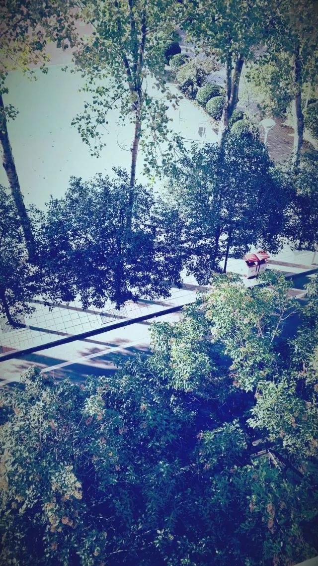 夏日随想（一）