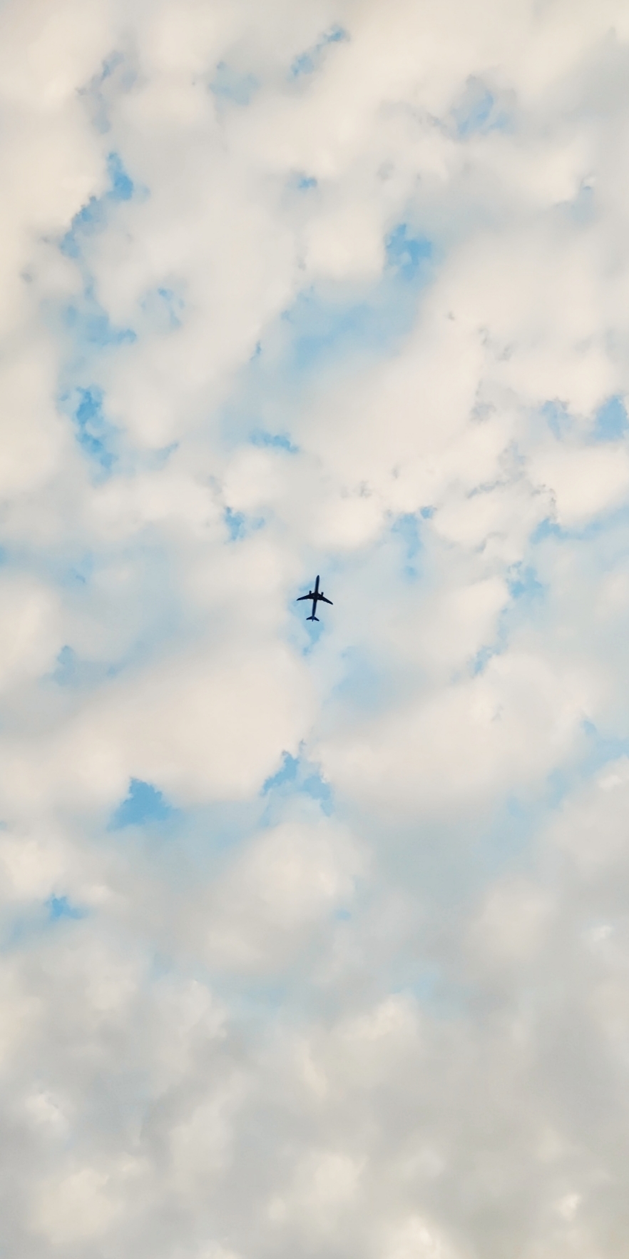 我们是如何一步步背叛理想的