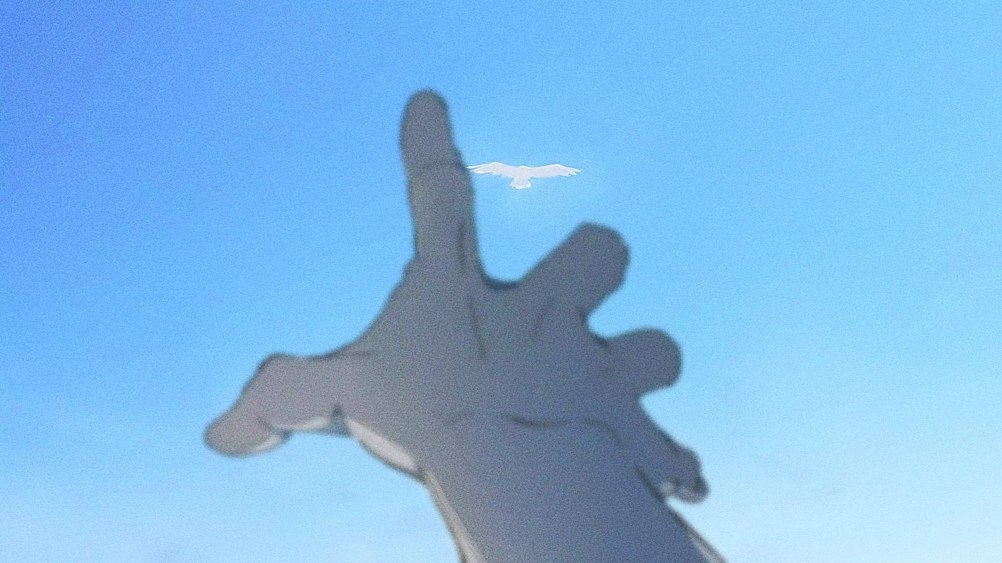 Forgive me. Forget it.