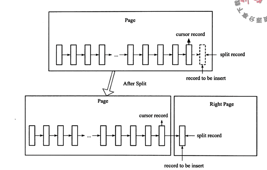 分裂点为插入本身