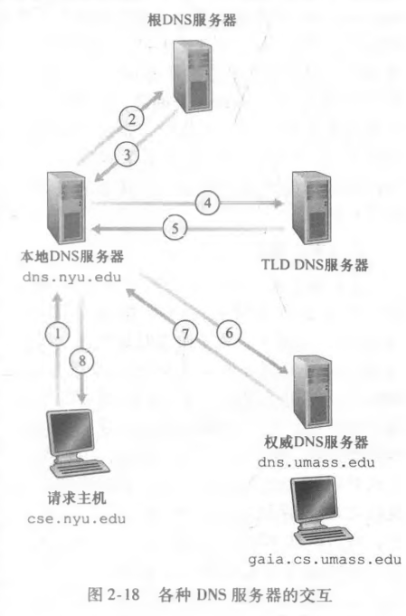 各种DNS服务器的交互