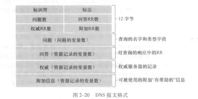 DNS报文格式