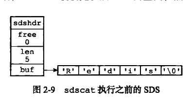 sdscat执行之前的SDS