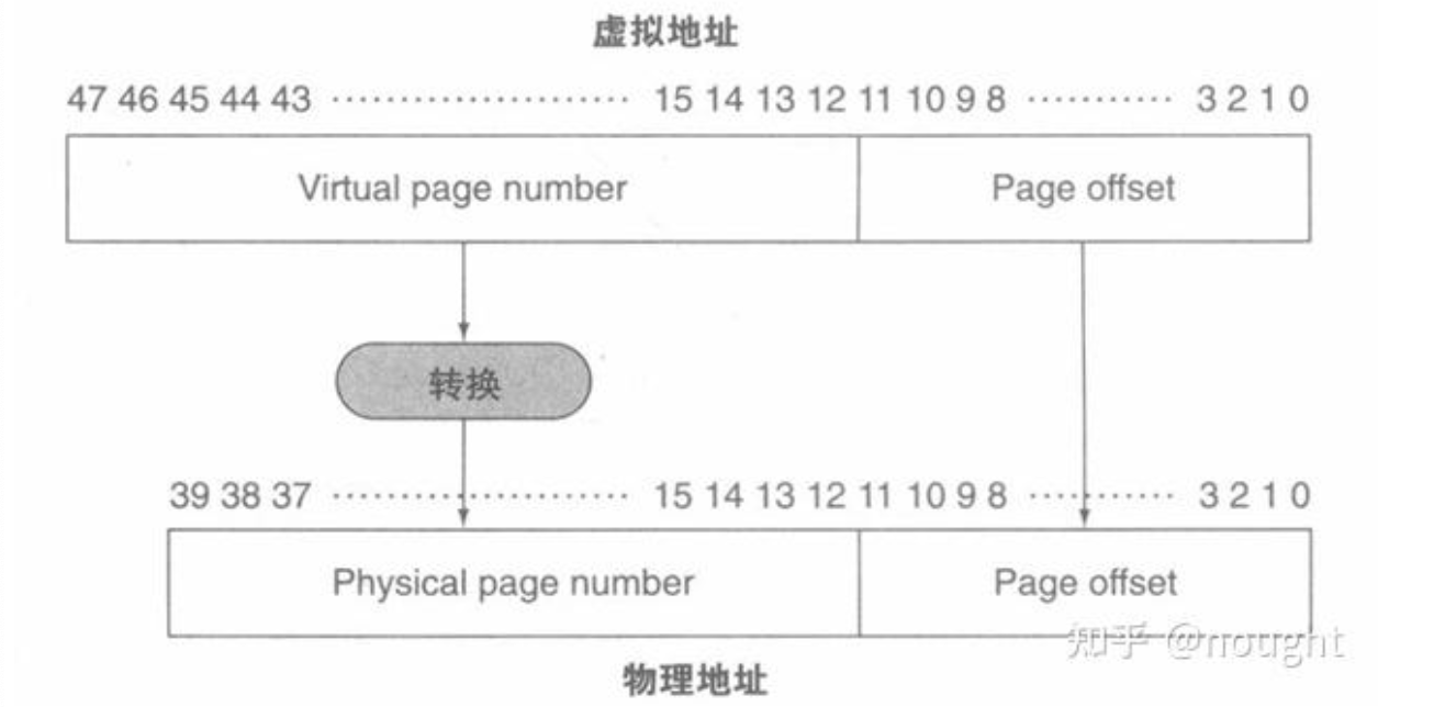 image-20241224230448394