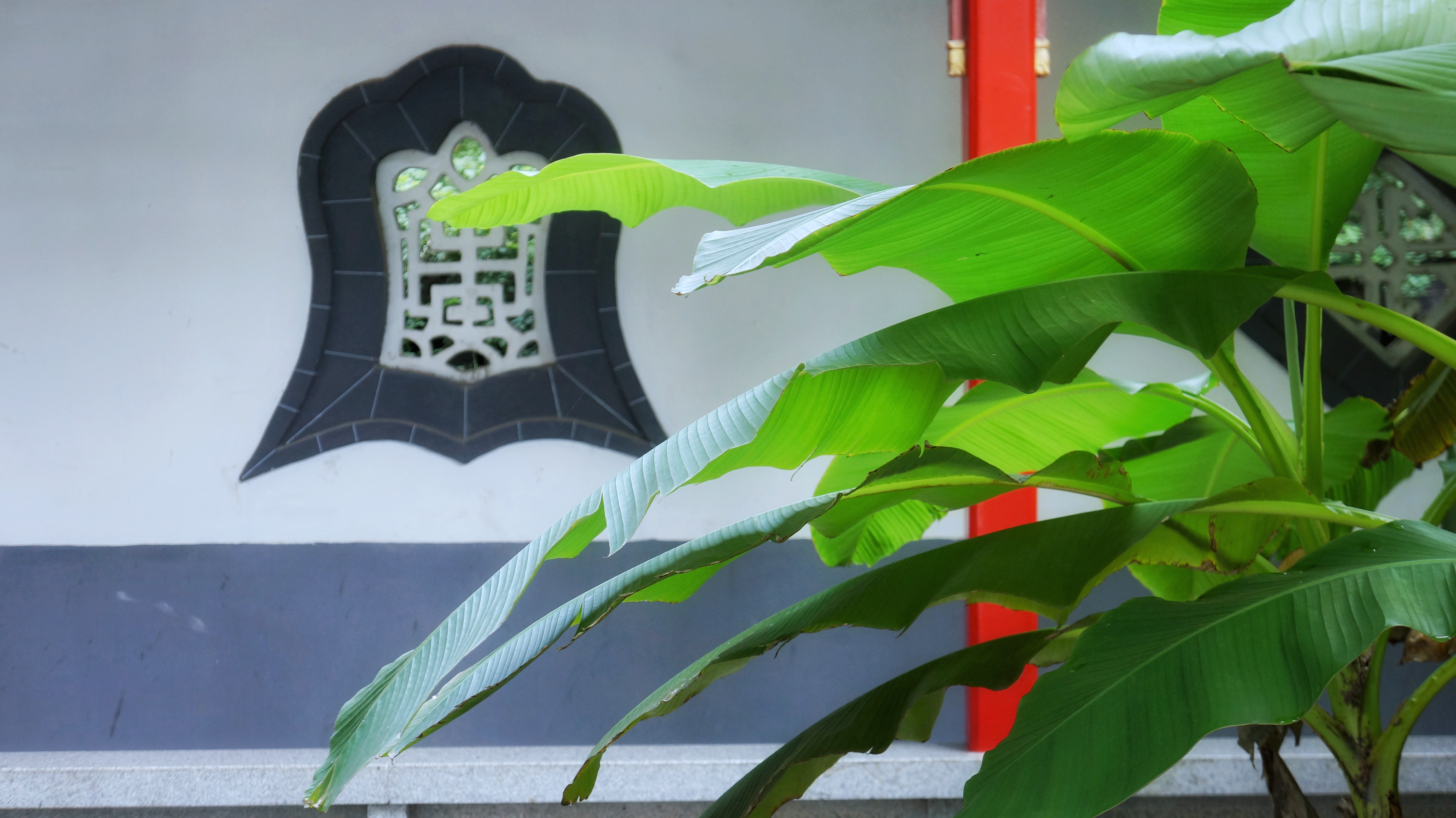 冷泉