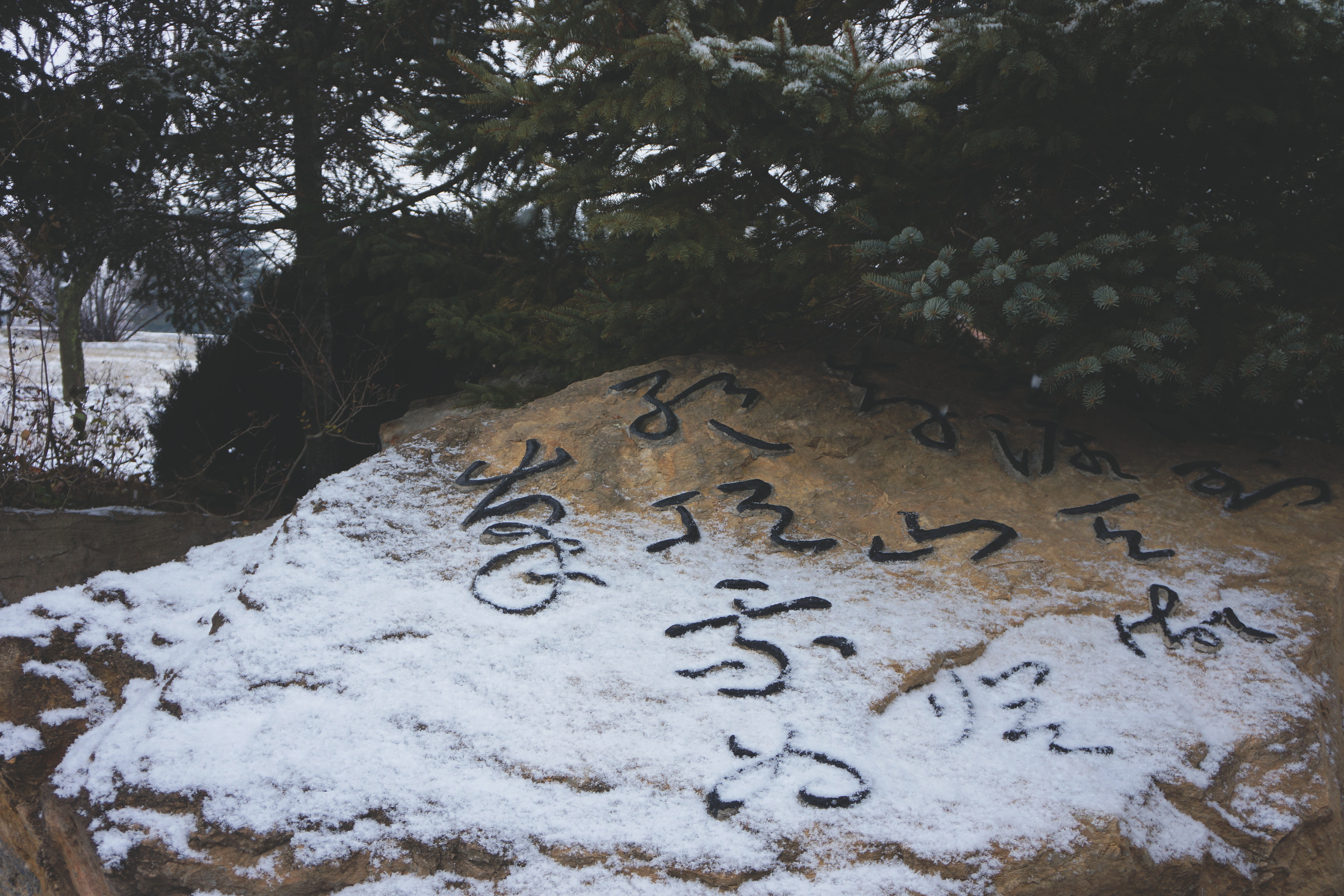 雪