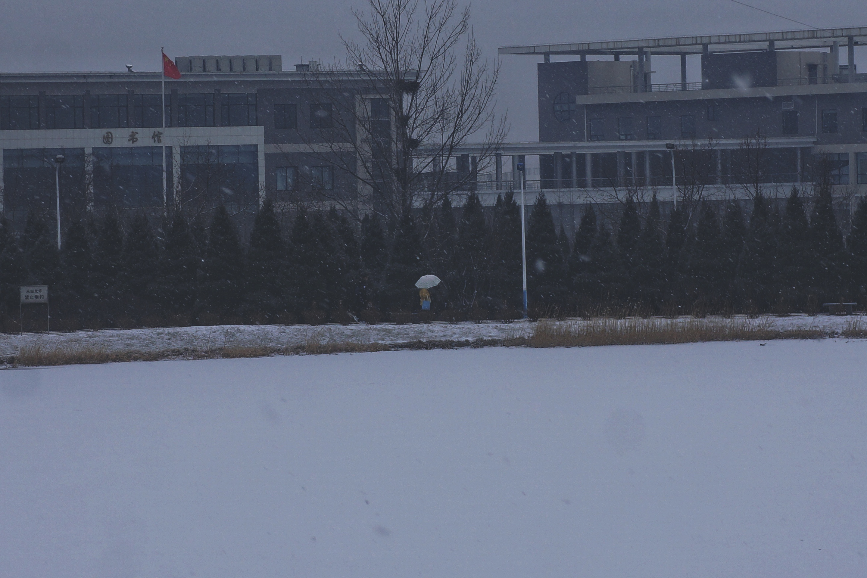雪