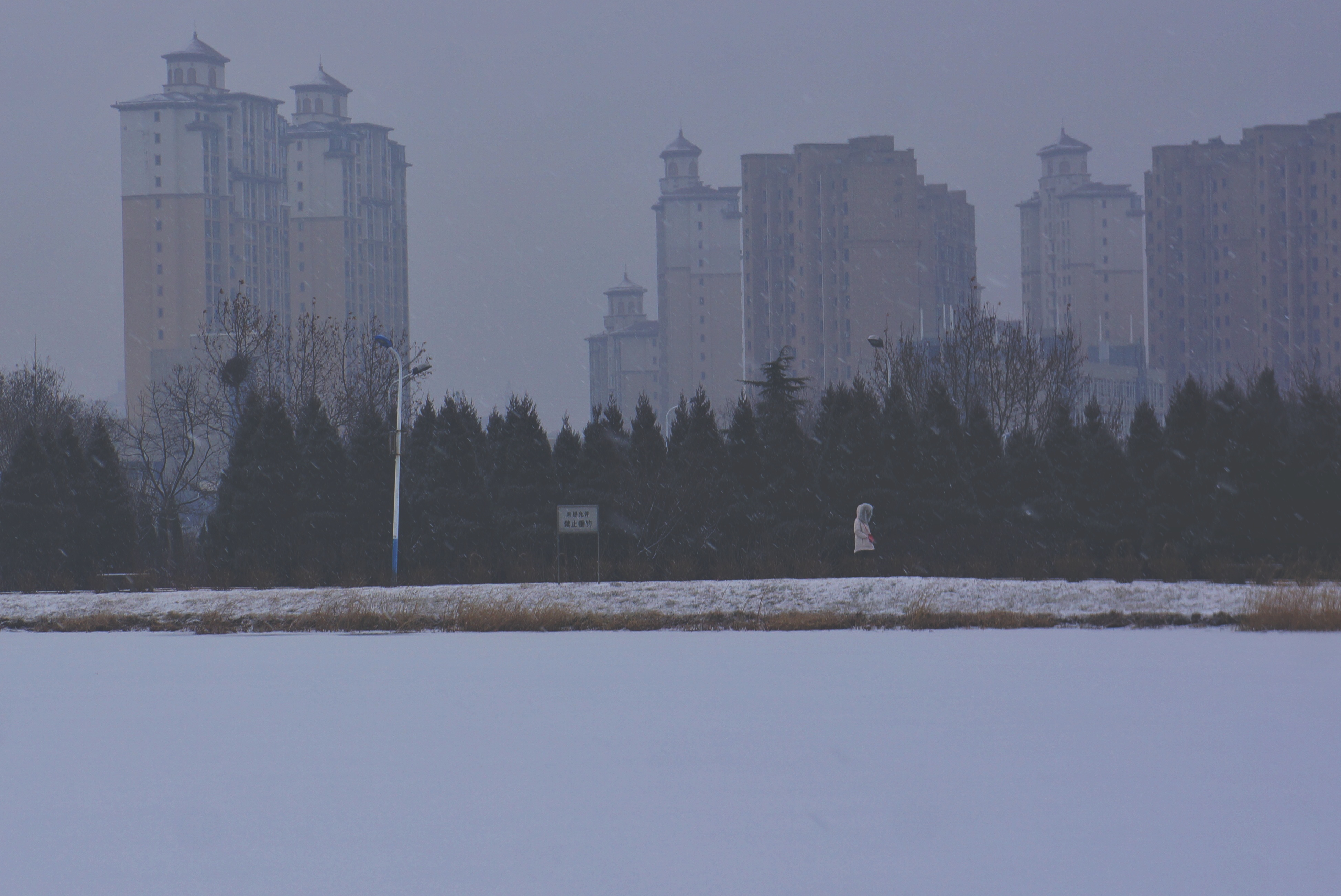 雪