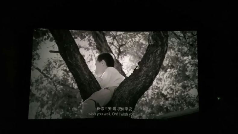长夏旧忆1