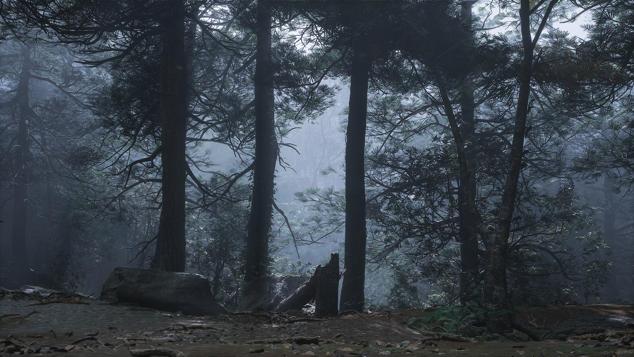 黑风山——树林