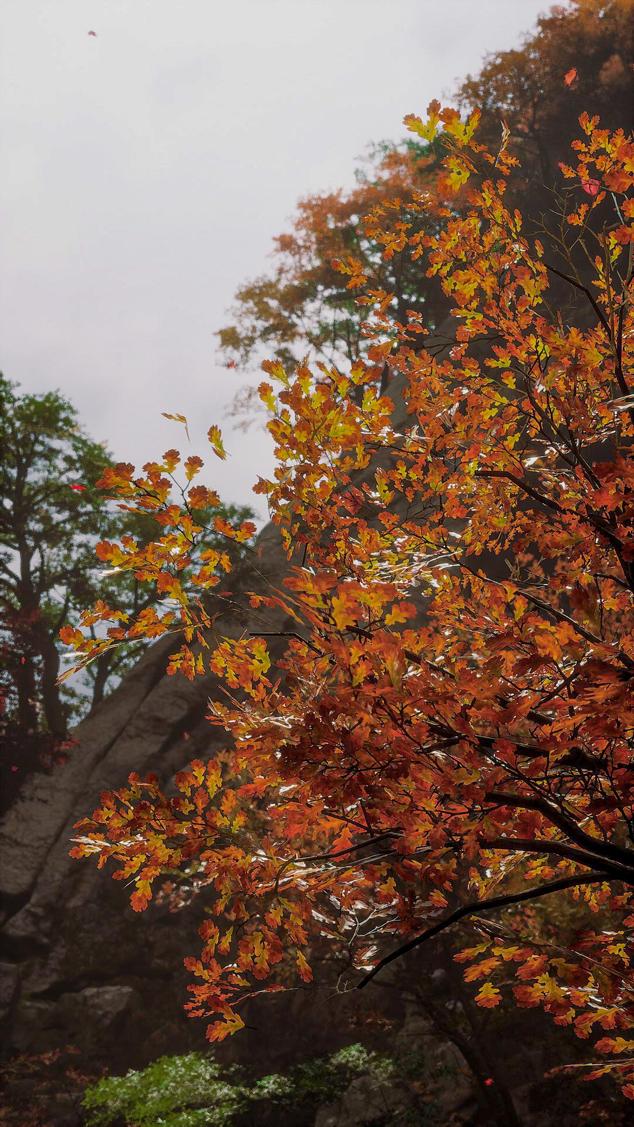 盘丝岭——紫云山