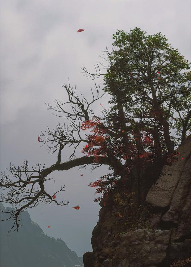 盘丝岭——紫云山