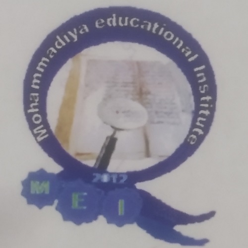 MEI logo