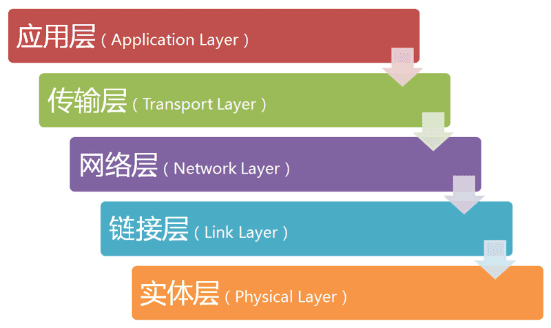 5 layer model
