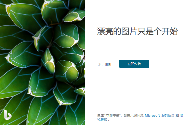 Bing Wallpaper(微软壁纸) v1.0.9.8 中文多语免费版
