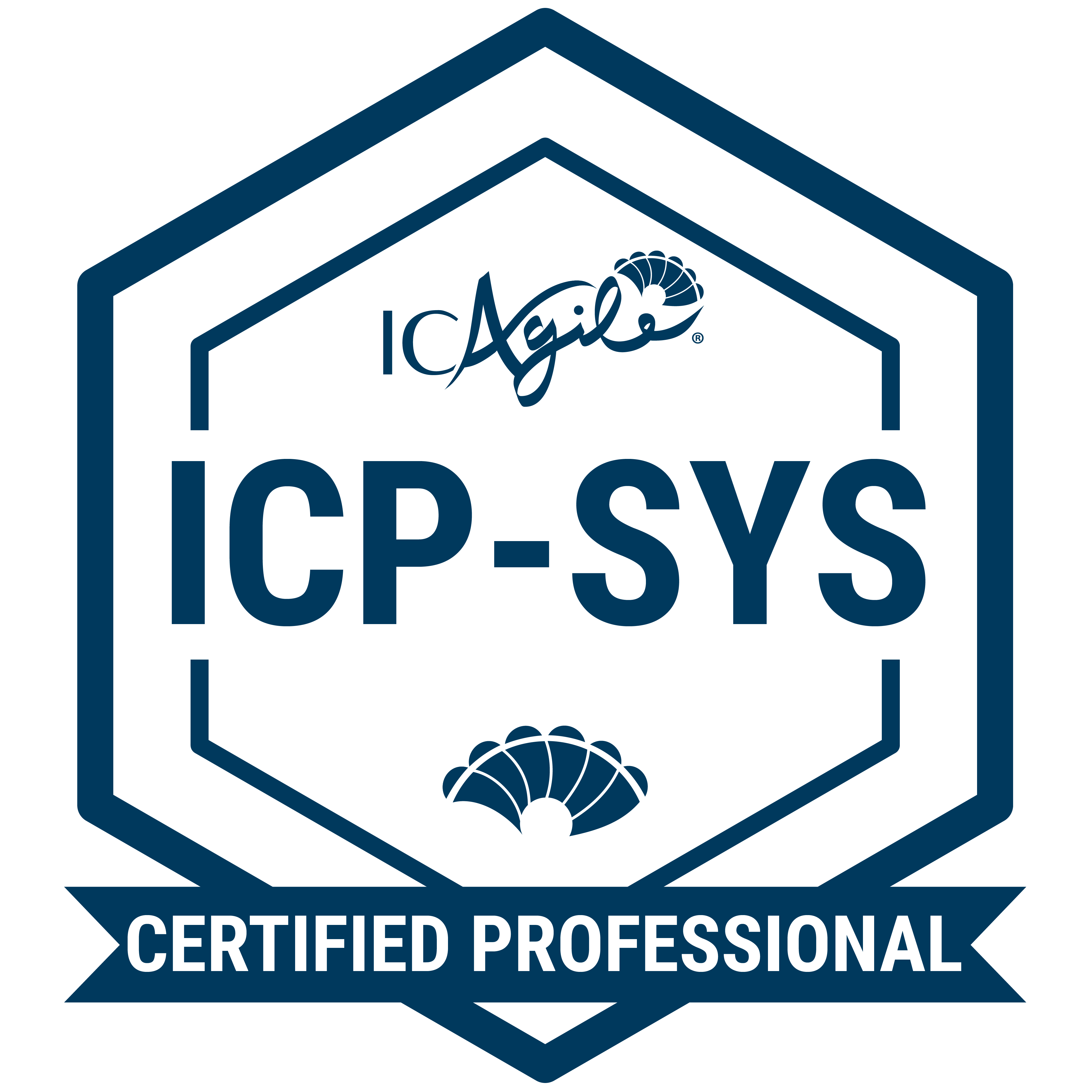 Agile System Coach