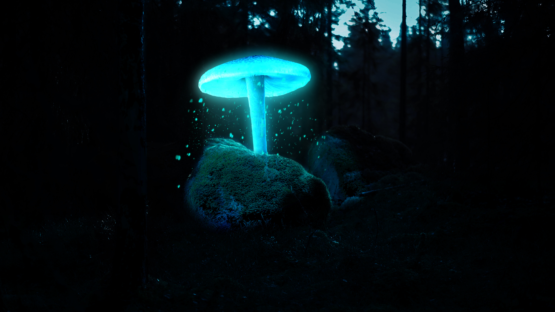 docker部署django项目