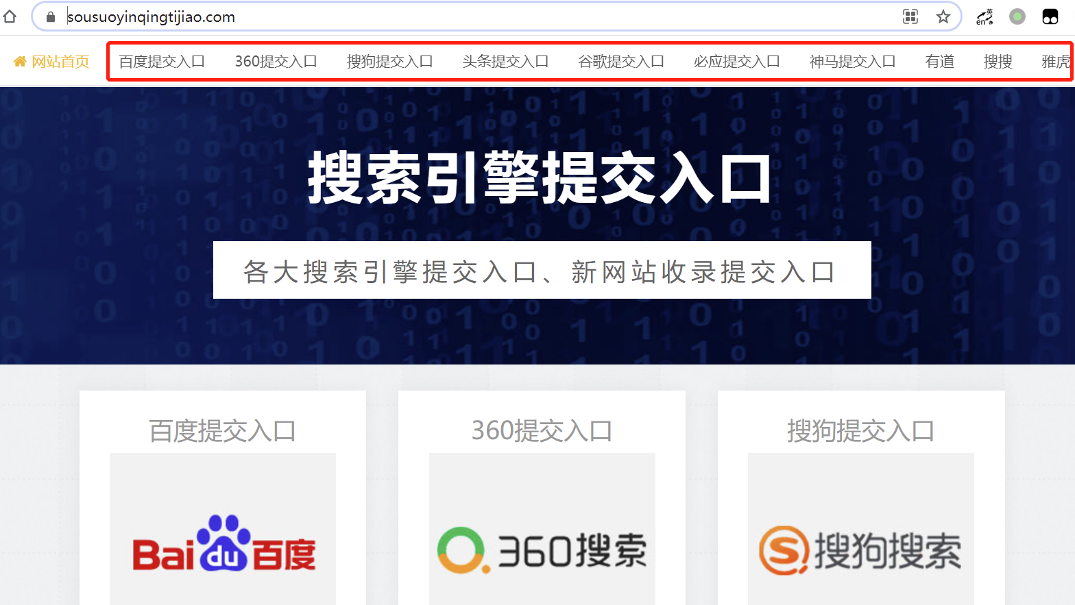 image-20210223100423764