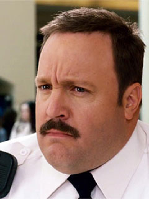 Paul Blart