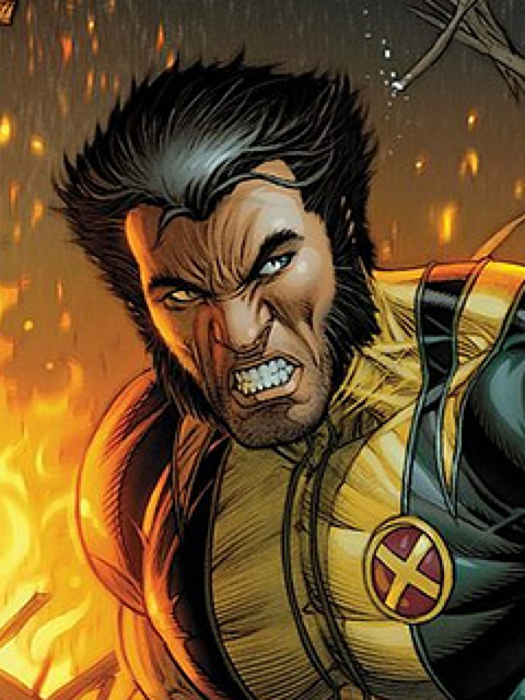 Wolverine