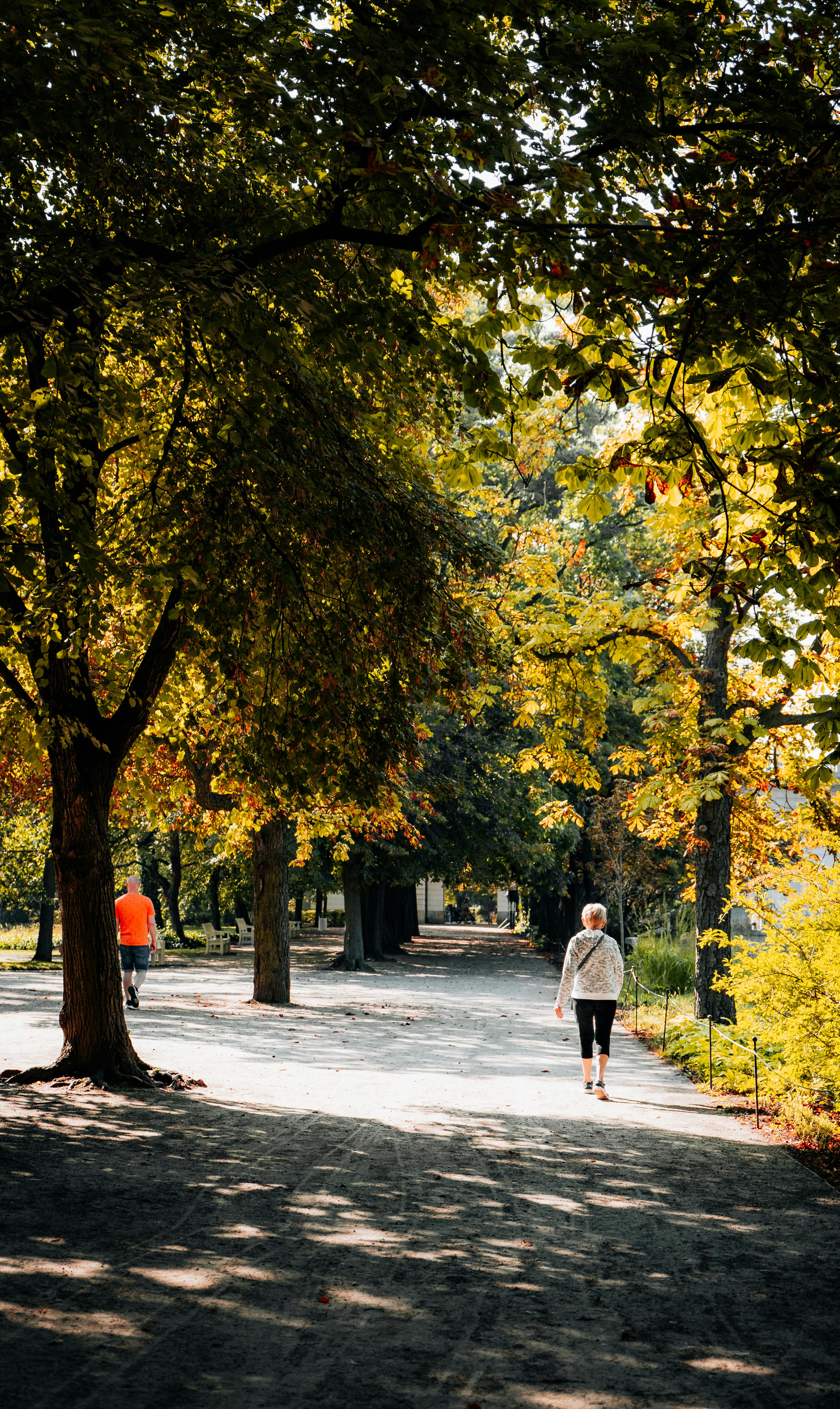 Mindfulness in Nature: Where to Begin If You Don't Meditate