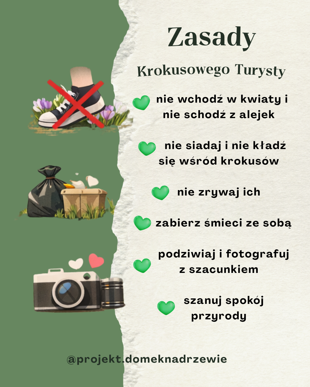 Podgląd karty Zasady krokusowego turysty