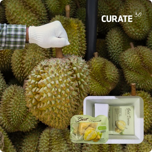 두리안 실물 비주얼