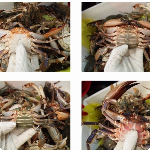 상세 정보 및 포장