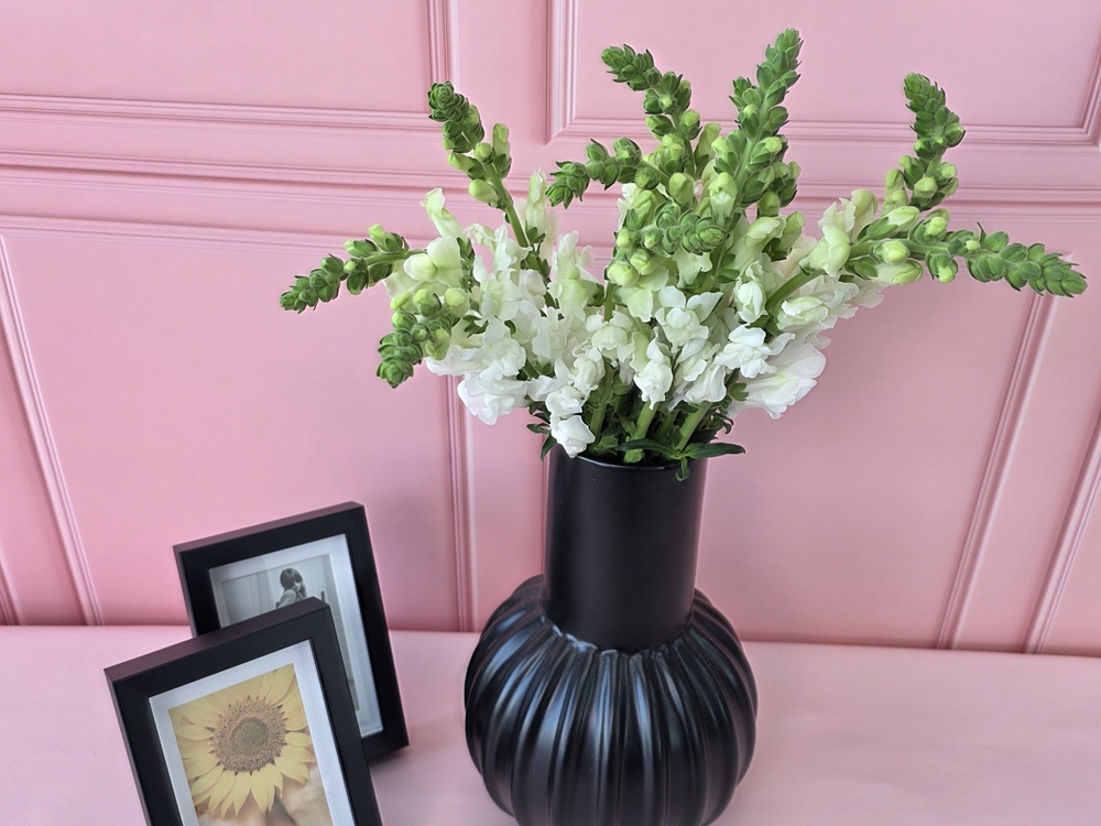 유스풀몰 금어초 한다발 꽃배달 싼곳 생화 택배