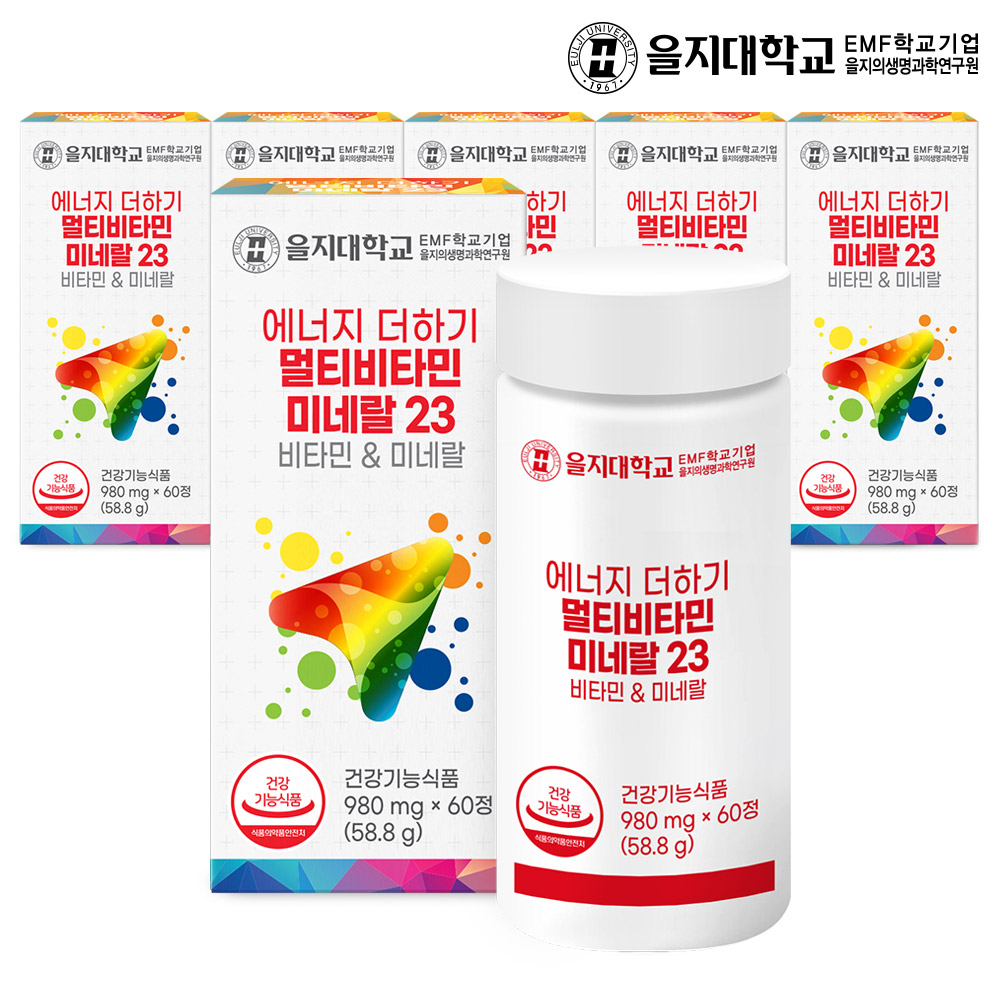 [12개월] 을지대학교 23종 에너지 더하기 멀티비타민 미네랄23 60정, 6개