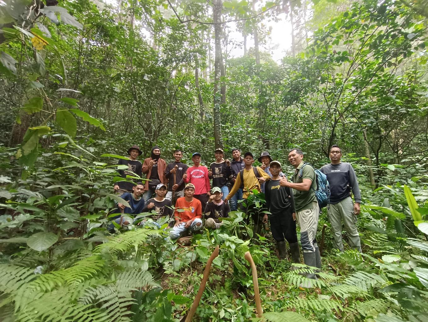 Penanaman Pohon Endemik