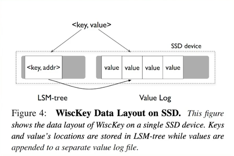 image-20230219125638649