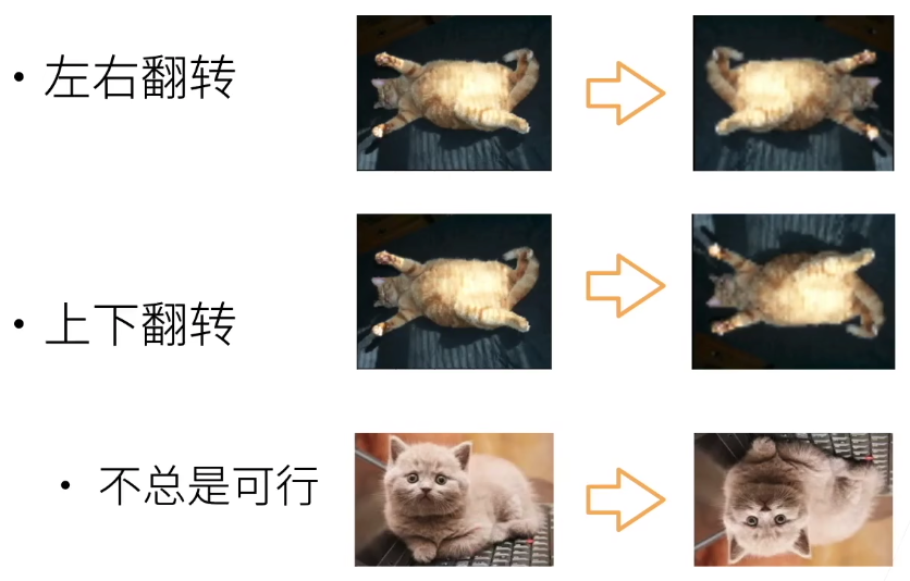 image-20230810095845340