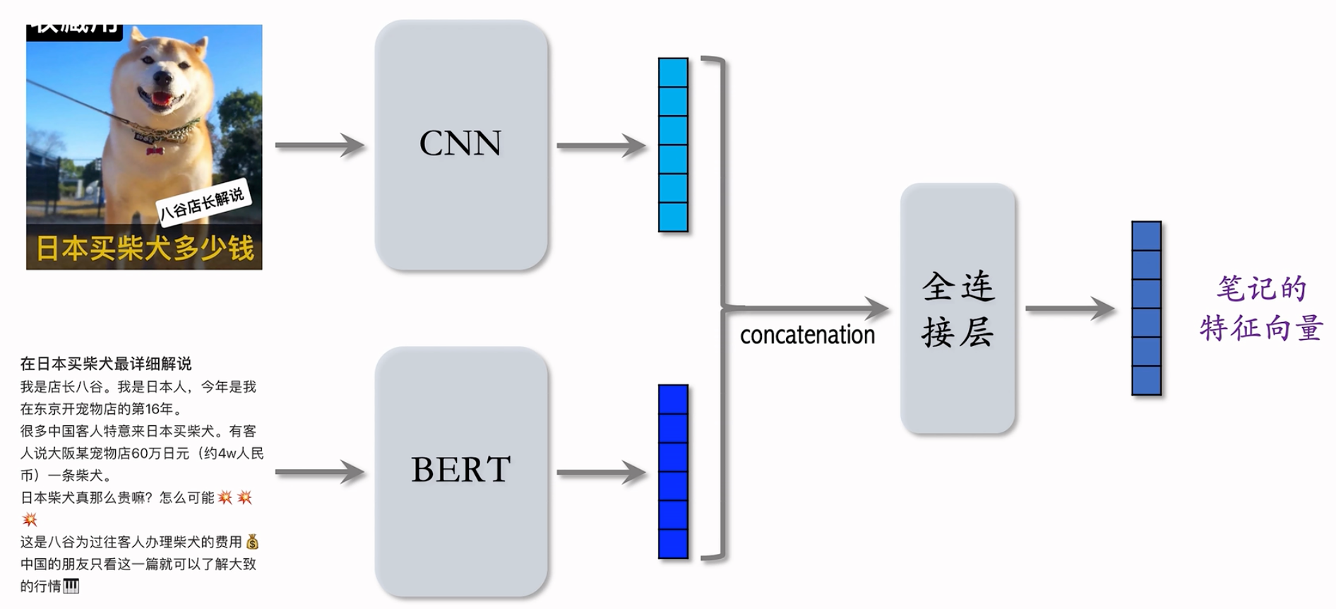 image-20240918164930012
