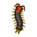 Mille-pattes