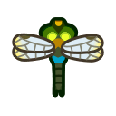 Anax napolitain