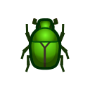 Pseudotorynorrhina