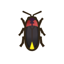 Luciole