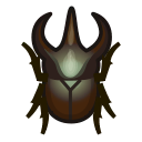 Scarabée Atlas
