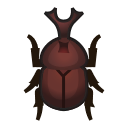 Scarabée kabuto