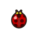 Coccinelle