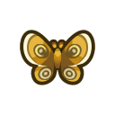 Papillon de nuit