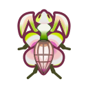 Mante orchidée