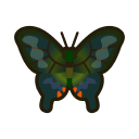 Papilio bianor