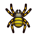 Araignée